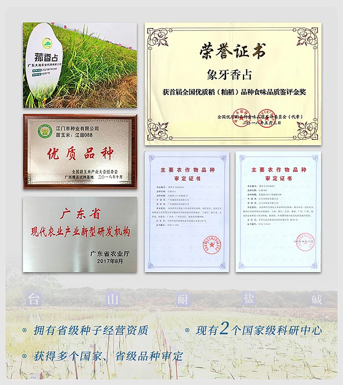 首页-PA集团有限公司官网入口