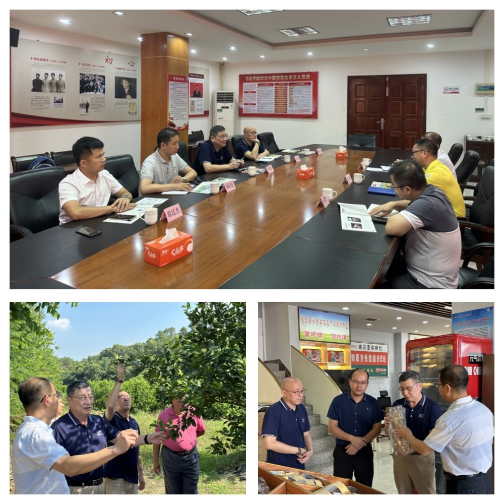 首页-PA集团有限公司官网入口