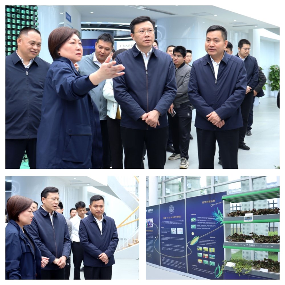 首页-PA集团有限公司官网入口