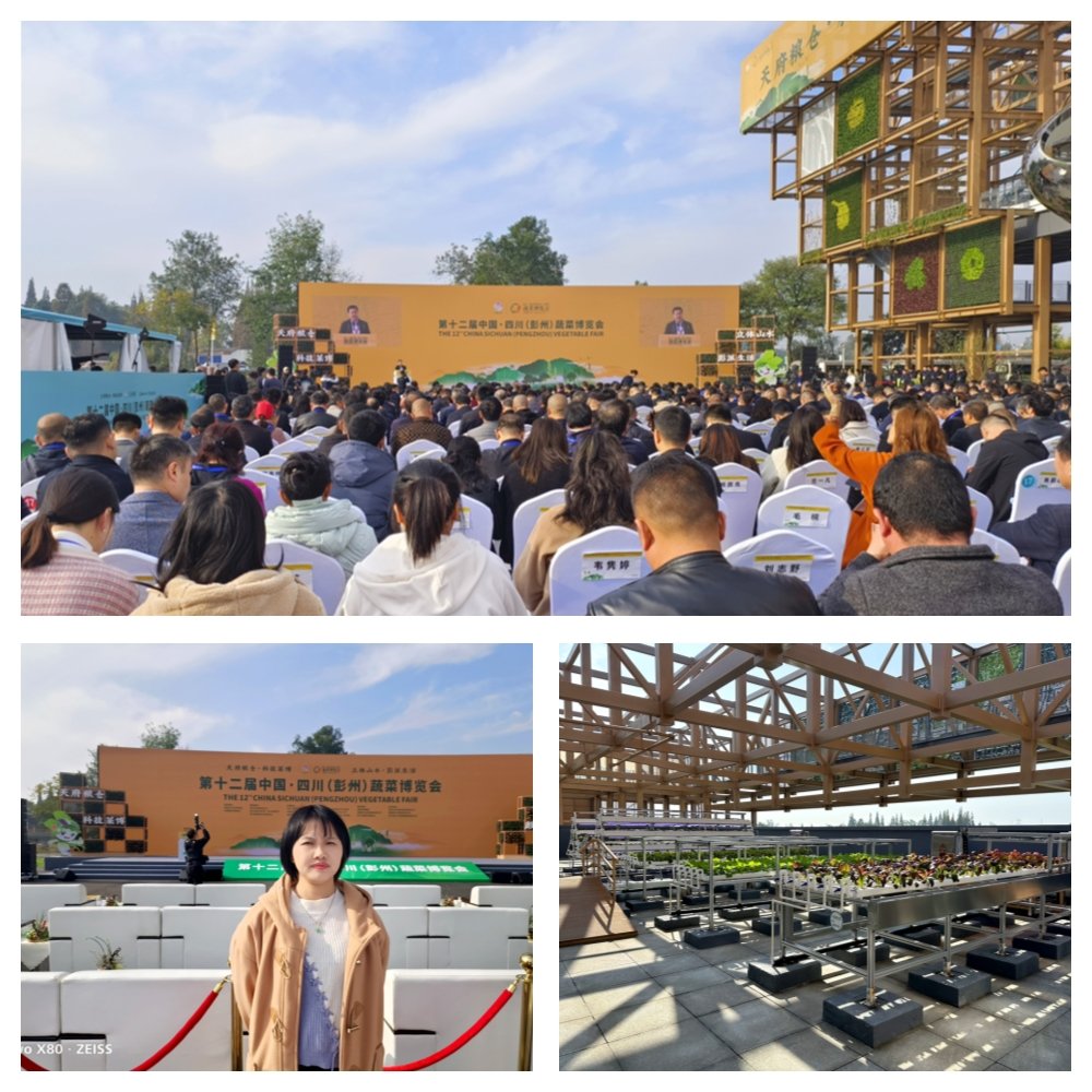 首页-PA集团有限公司官网入口