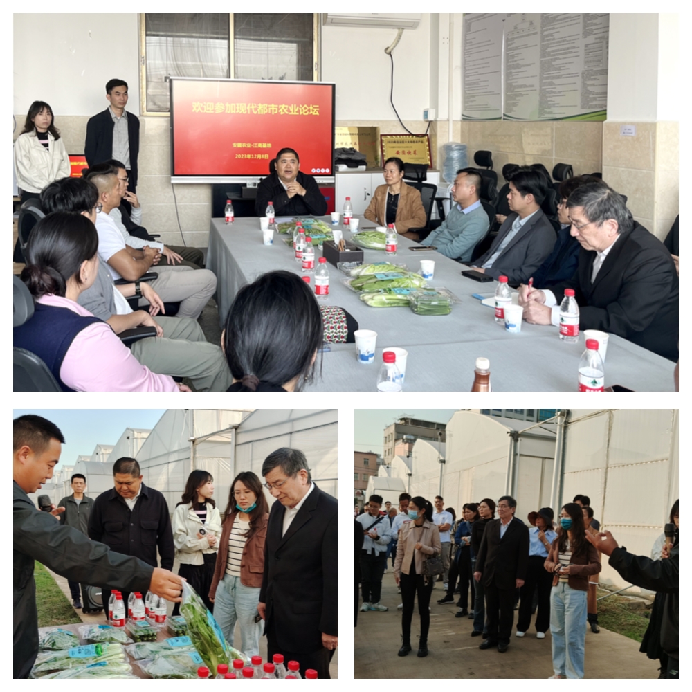 首页-PA集团有限公司官网入口