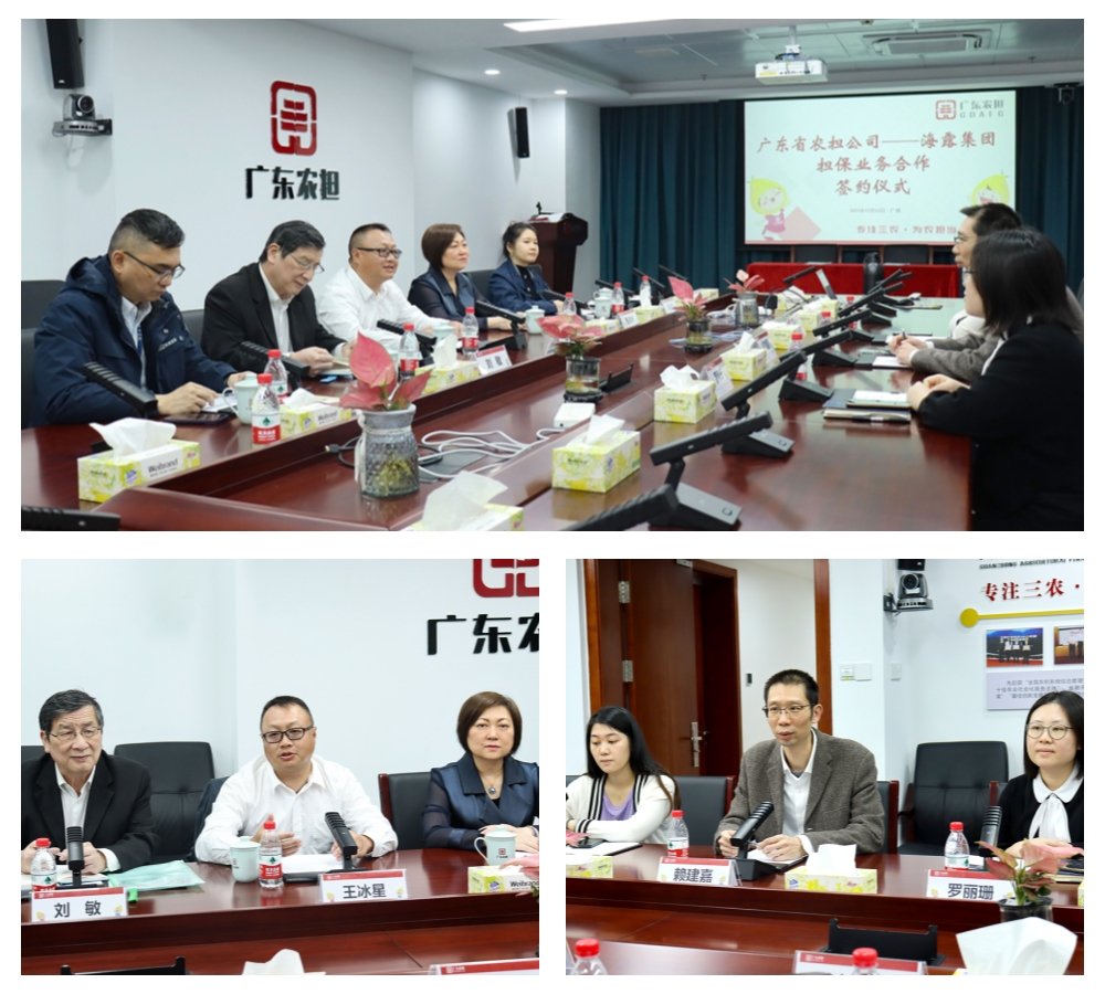 首页-PA集团有限公司官网入口