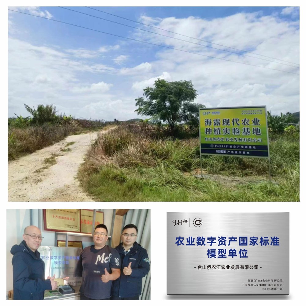 首页-PA集团有限公司官网入口