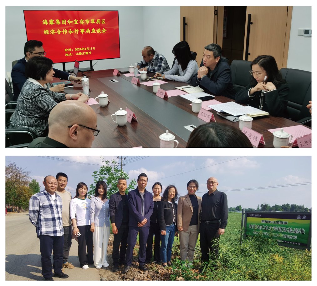 首页-PA集团有限公司官网入口