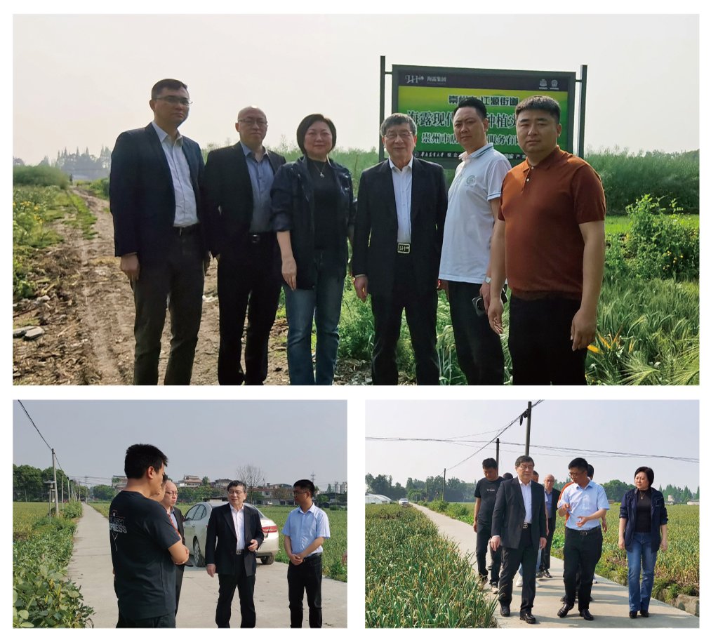 首页-PA集团有限公司官网入口