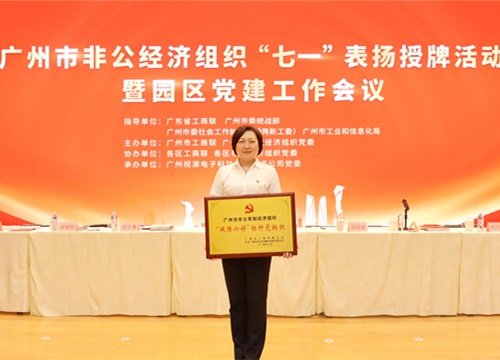 标杆引领，荣誉升级！集团党支部荣膺广州市非公有造经济组织“双强六好”标