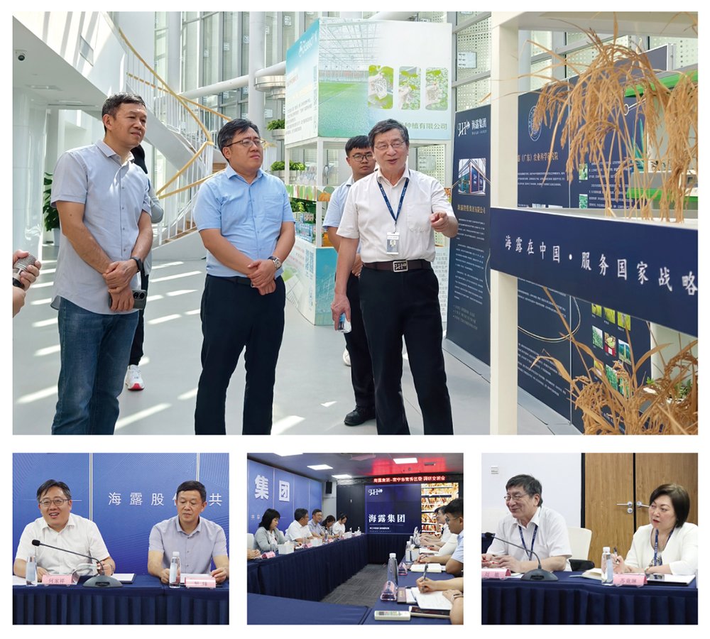 首页-PA集团有限公司官网入口