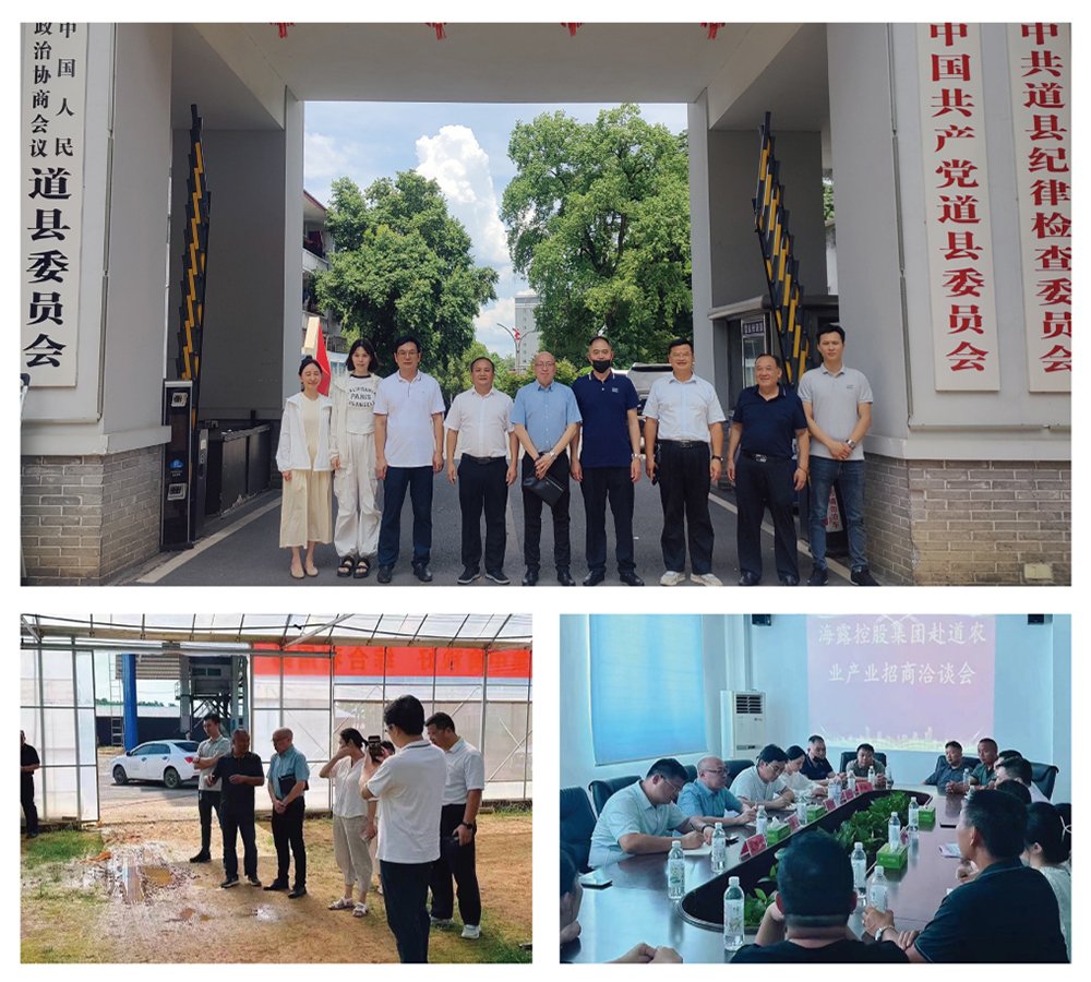 首页-PA集团有限公司官网入口