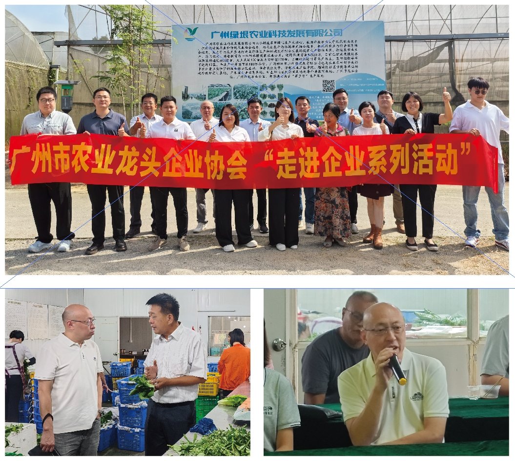 首页-PA集团有限公司官网入口