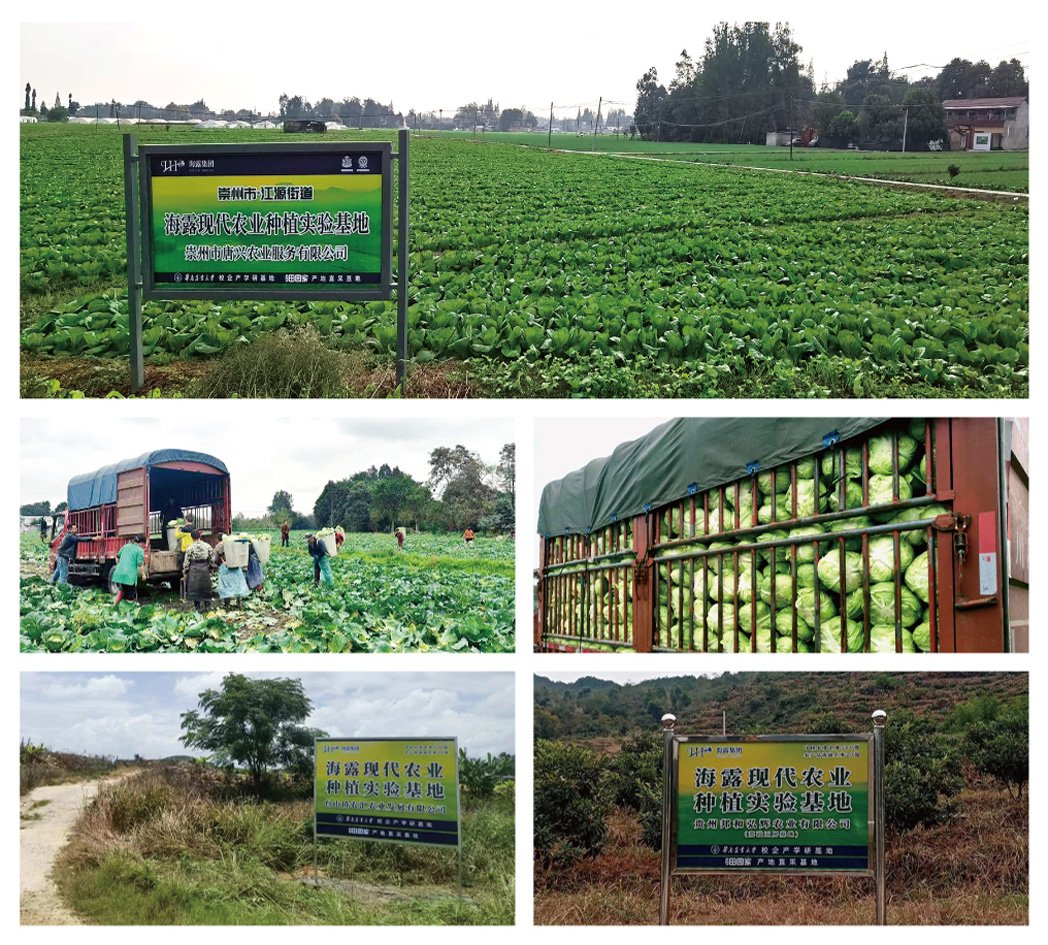 首页-PA集团有限公司官网入口