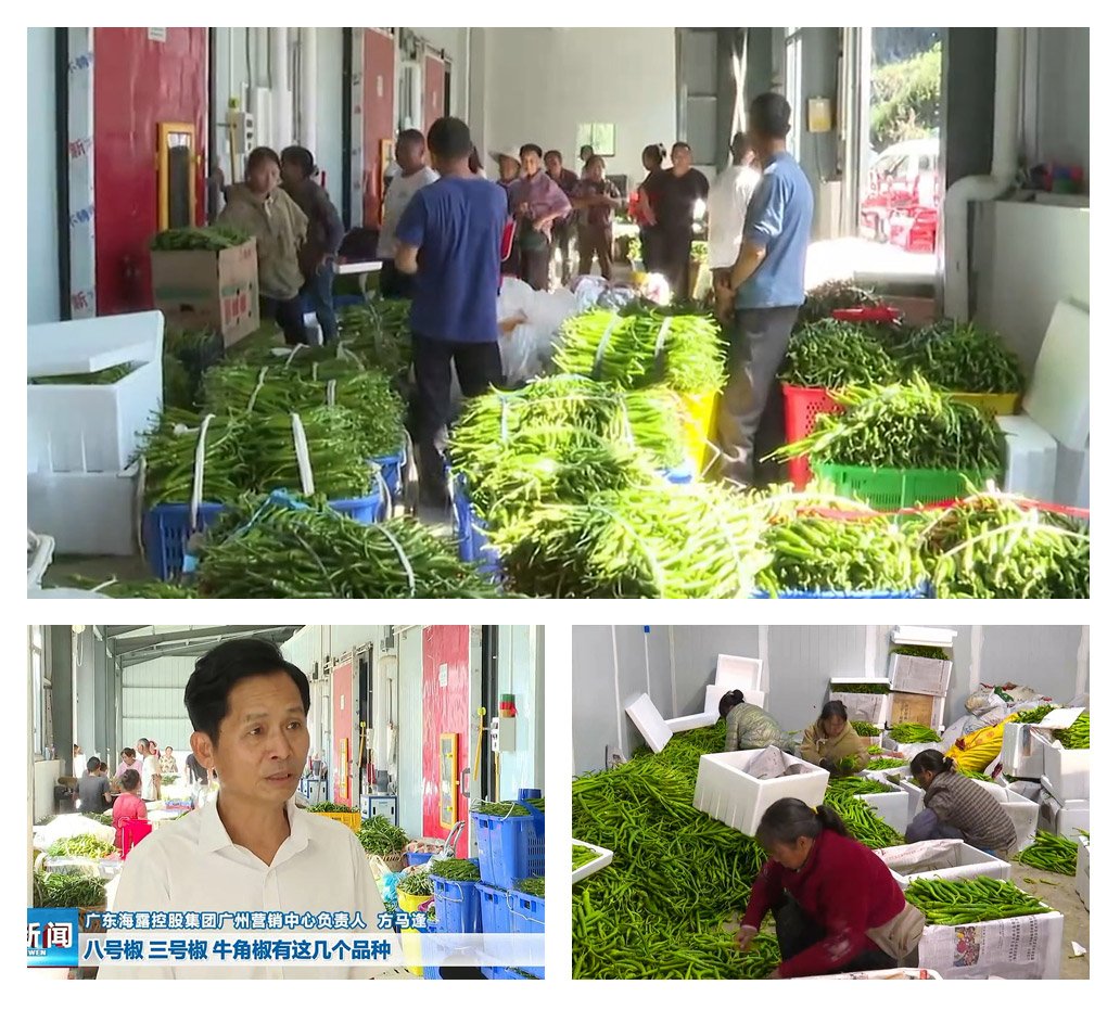 首页-PA集团有限公司官网入口