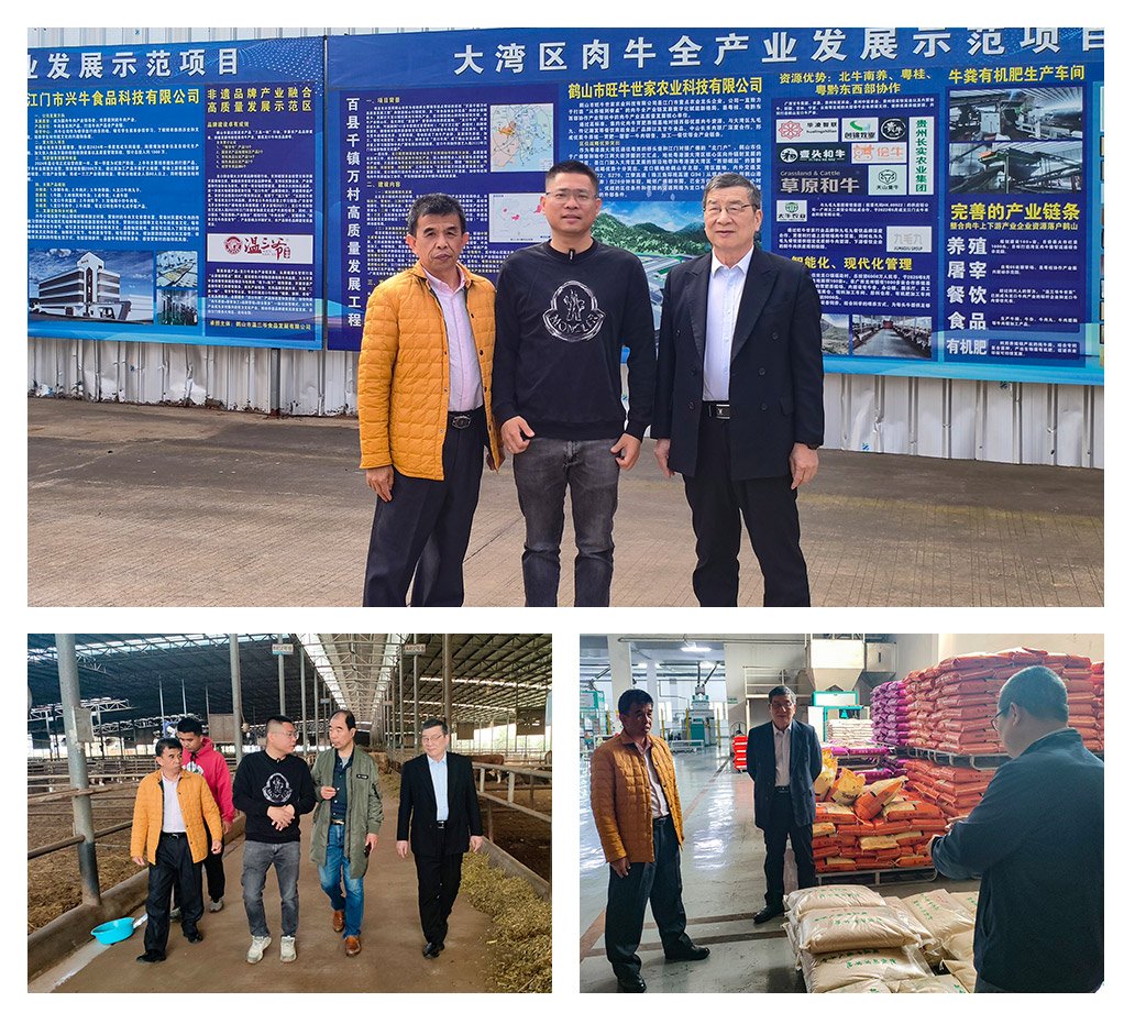 首页-PA集团有限公司官网入口