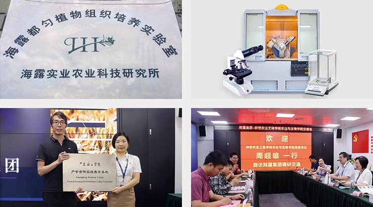 首页-PA集团有限公司官网入口