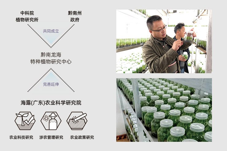 首页-PA集团有限公司官网入口