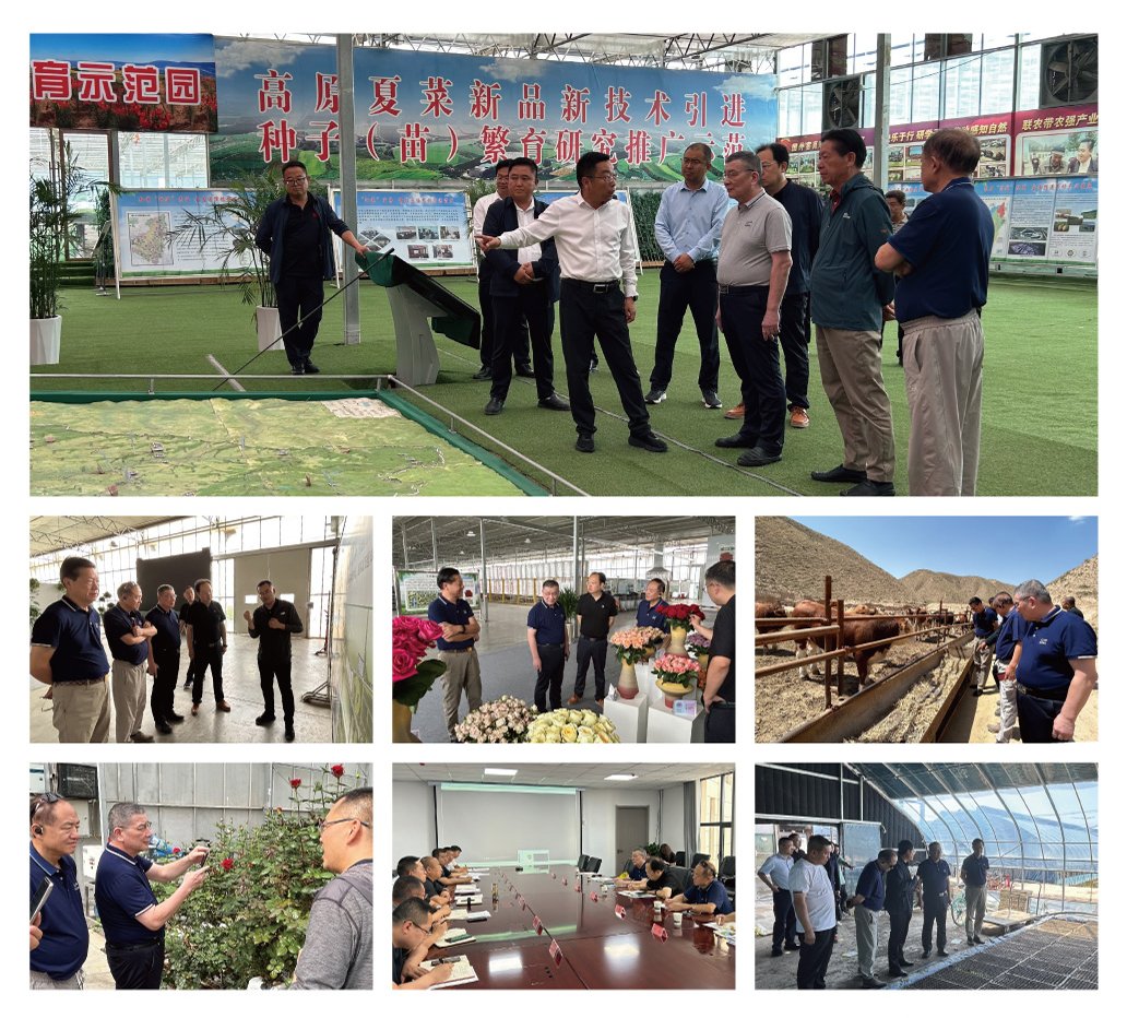 首页-PA集团有限公司官网入口