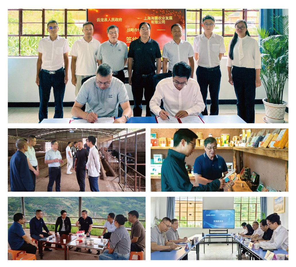 首页-PA集团有限公司官网入口