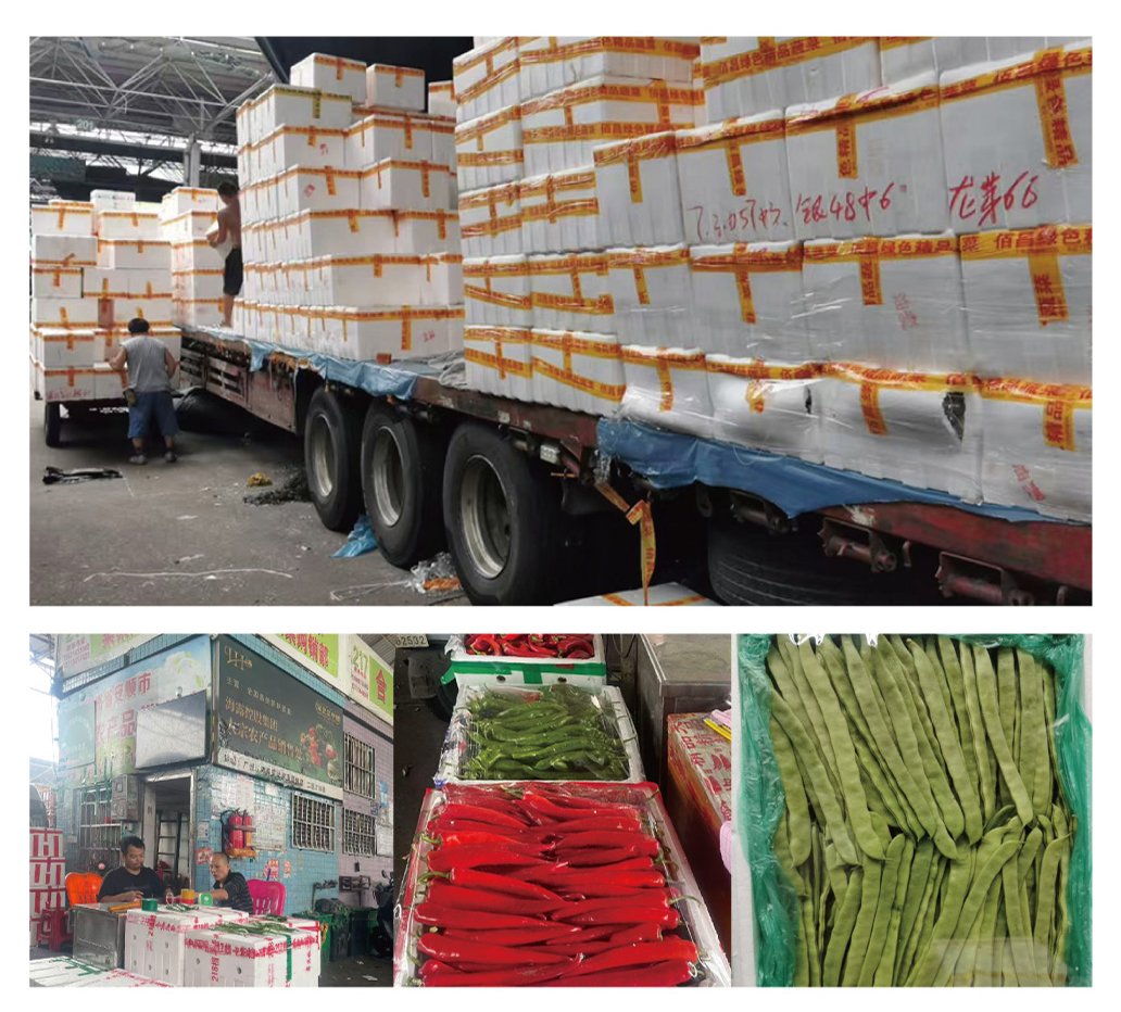 首页-PA集团有限公司官网入口