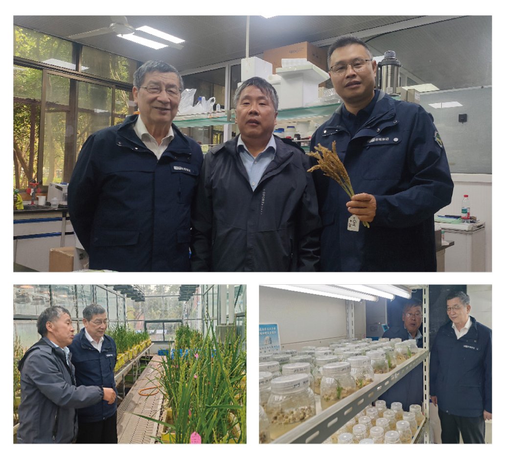 首页-PA集团有限公司官网入口