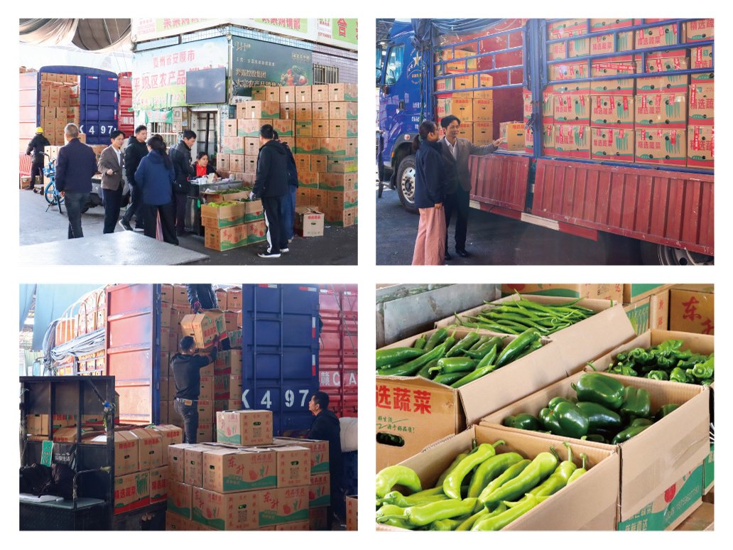 首页-PA集团有限公司官网入口